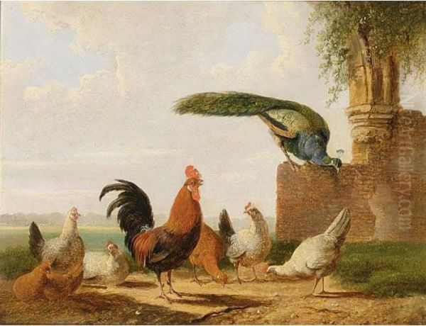 The Poultry Yard - view 1