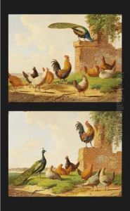 Poultry In A Yard (a Pair) by Albertus Verhoesen