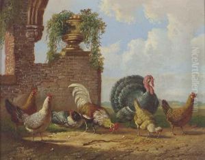 A Turkey And Other Fowl In A Garden
