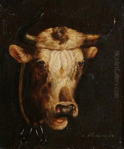 Study Of A Cow's Head