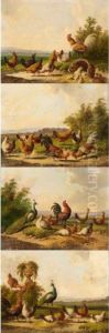 Landscapes With Peacocks And Chickens by Albertus Verhoesen