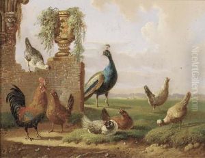 Poultry And A Peacock By A Ruin