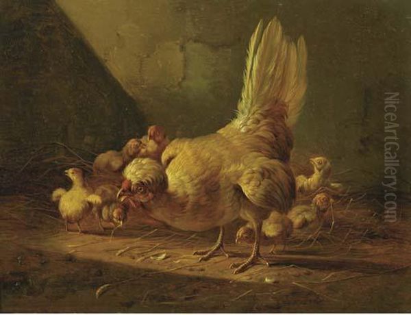 A Hen And Her Chicks - view 1