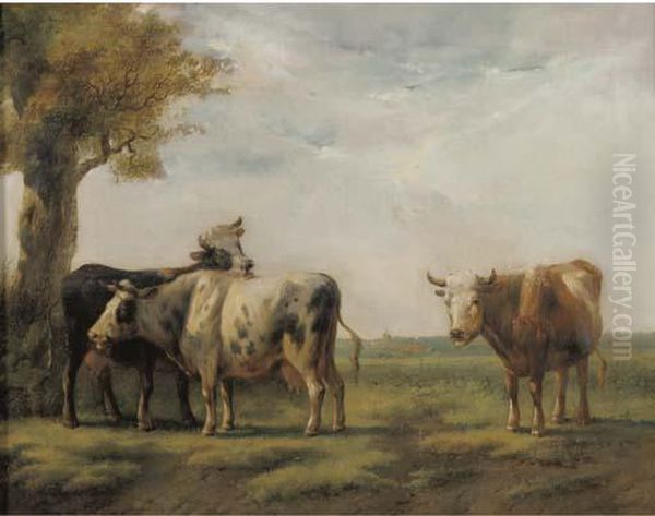 Cattle In A Sunlit Landscape - view 1