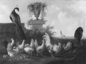 Huhnerhof Mit Pfau by Albertus Verhoesen