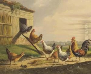 Going Into The Henhouse: A Good Night's Rest by Albertus Verhoesen