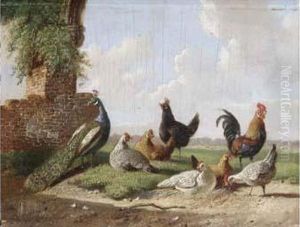 Poultry Near A Ruin