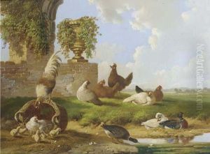 Poultry And Ducks By A Ruin