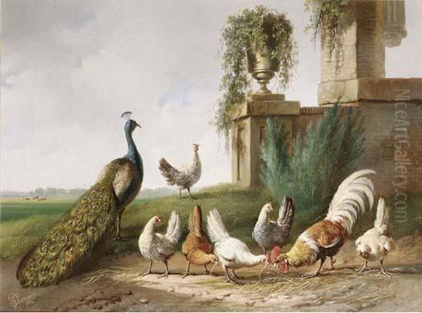 Poultry And A Peacock In A Meadow - view 1