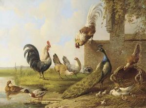 Poultry And A Peacock By A Ruin