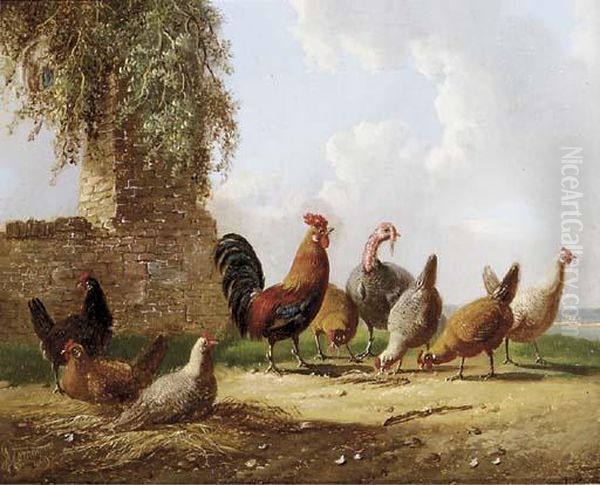 Feathered Friends - view 1