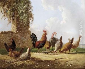 Feathered Friends by Albertus Verhoesen