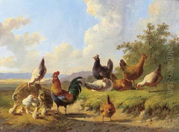 Poultry In A Meadow - view 1