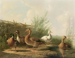 Ducks In A Landscape by Albertus Verhoesen