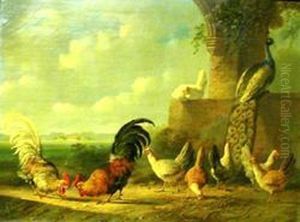 Poultry And A Peacock By A Ruined Wall And Arch by Albertus Verhoesen