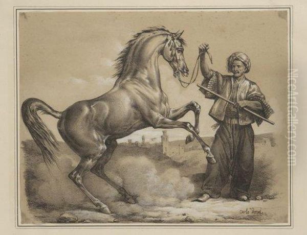 Dresseurs De Chevaux Arabes - view 1