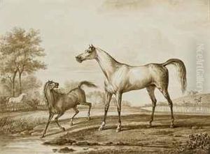 Chevaux Dans Un Pre Chevaux Dans Un Pre