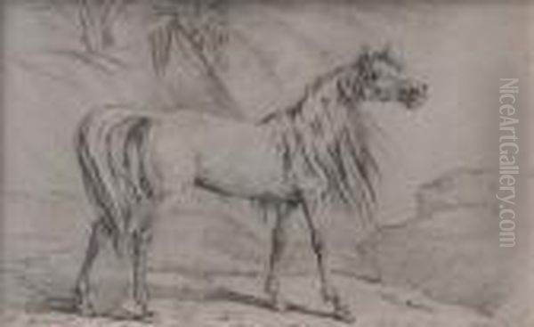 Caballo - view 1