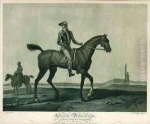 Cheval Anglais Prepare Pour La Course - Cheval Anglais Partant Pour La Course.