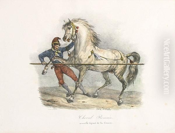 Portraits Of Stallions - view 1
