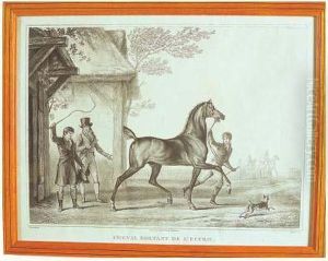 cheval Sortant De L'ecurie cheval Sortant De L'ecurie