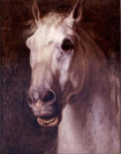 Head Of A Horse