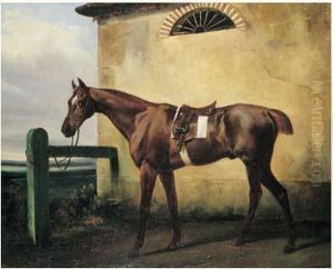 Cheval Selle Attache A Une Barriere