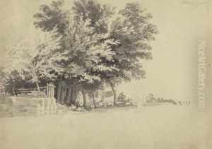 Tree Study.