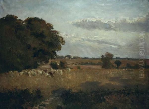 Landschaft Mit Schafherde. - view 1