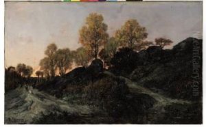 Ritorno Dai Campi