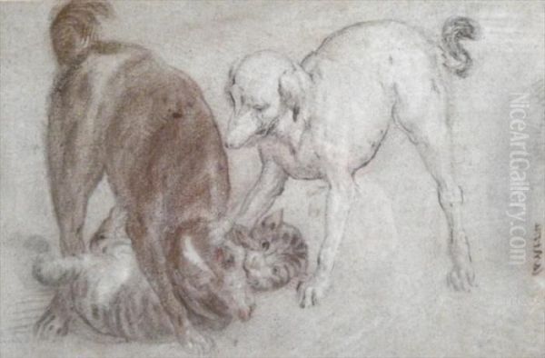 2 Dogs With Cat - view 1