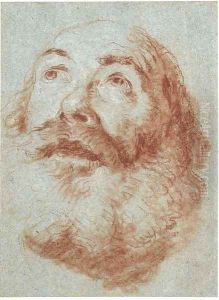 Head of an old man looking up