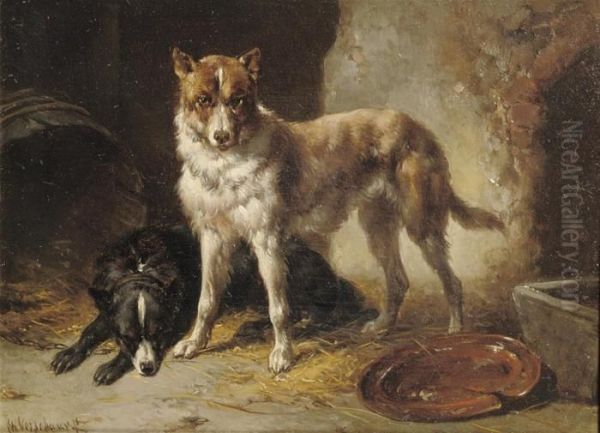 Two Border Collies In A Stable - view 1
