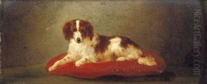 An English Setter by Wouterus Verschuur
