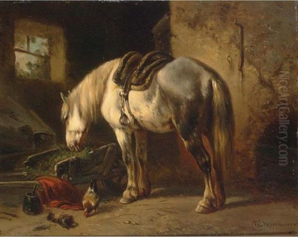 A Grey Horse In A Stable - view 1