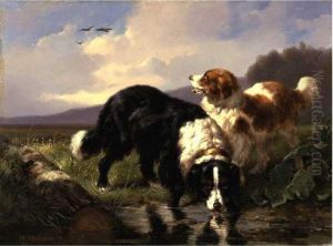 Landseer Newfoundland Dogs Taking A Drink Landseer Newfoundland Dogs Taking A Drink