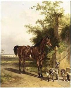 A Horse And Two Dogs In A Park A Horse And Two Dogs In A Park