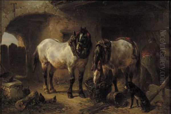 Feeding Time - view 1
