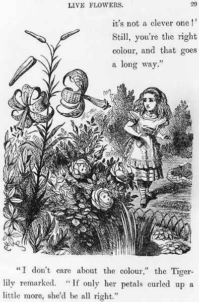 Tiger Lily, from Through the Looking Glass by Lewis Carroll 1832-98 - view 1