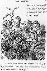 Tiger Lily, from Through the Looking Glass by Lewis Carroll 1832-98 by John Tenniel