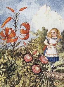 Tiger Lily, from Through the Looking Glass by Lewis Carroll 1832-98 2