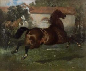 Cheval Au Pre Devant Une Ecurie by Jules Jacques Veyrassat