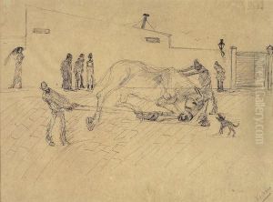 Il Cavallo