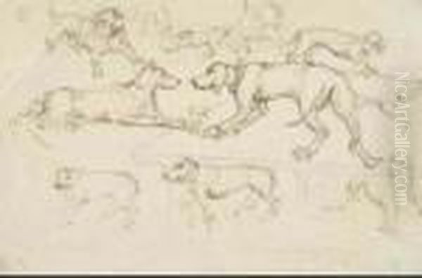 Studi Di Cani - view 1