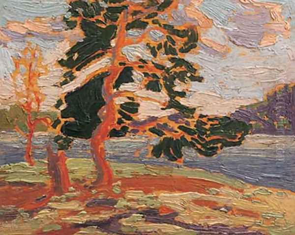 The Pine Tree - view 1