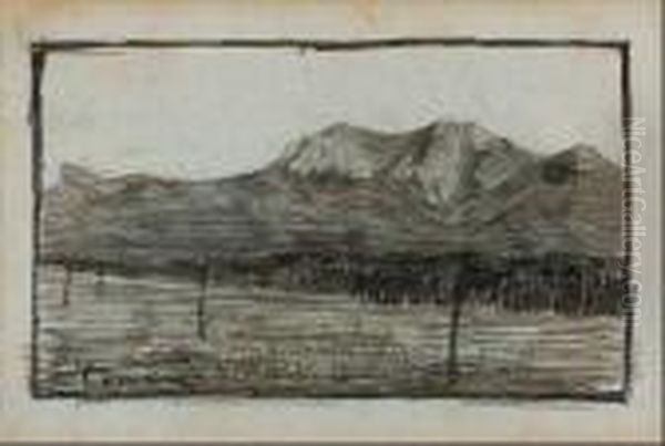 A) Recto: Sul Lago Di Torre Del 
Lago; Verso: Studio Per Testa Di Vecchio Con La Pipa - (1905) ; B) Volto
 ; C) Recto: Figura; Verso: Studio Per Due Volti E Figura ; D) Recto: 
Figura; Verso: Studio Per Figura - view 1