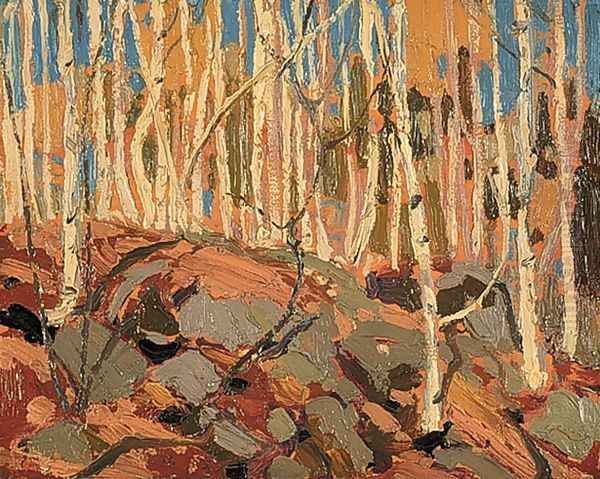 Birches - view 1