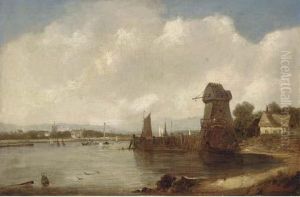 An Extensive Estuary Landscape