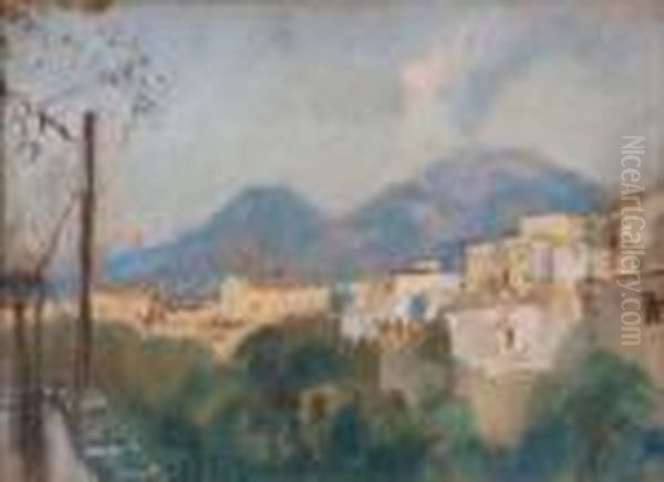 Veduta Del Vesuvio - view 1