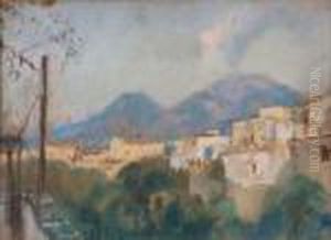 Veduta Del Vesuvio